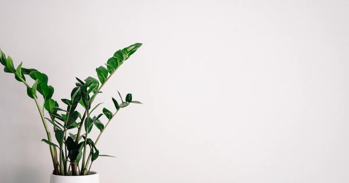 Fidelizar clientes en tu kiosco con WhatsApp: guía práctica 2026